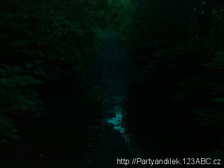 Fotka ze stezky u rybníků Pilíky.